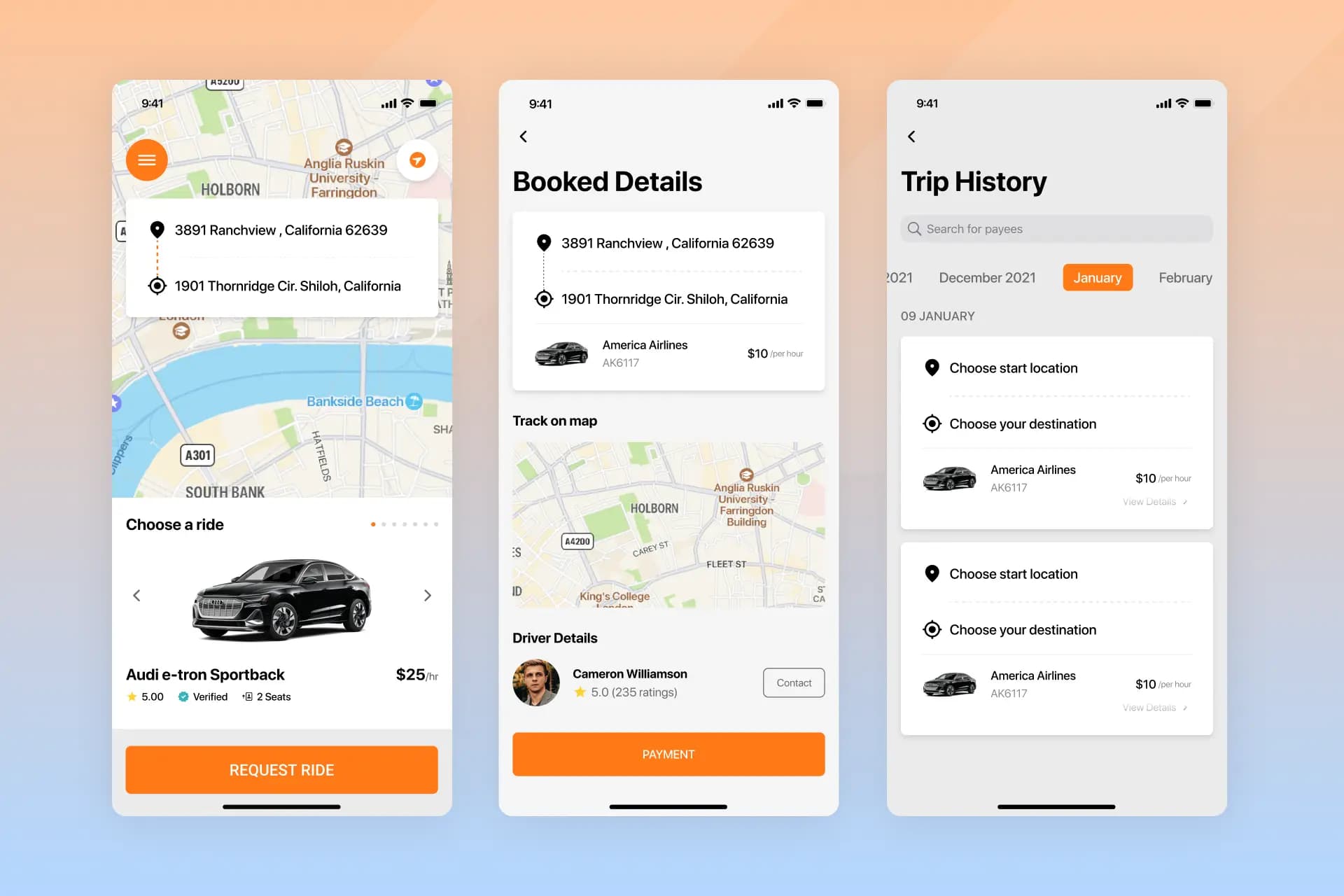 Urban Ride-Hailing Startup