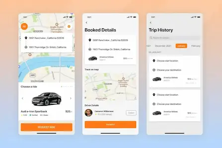 Urban Ride-Hailing Startup