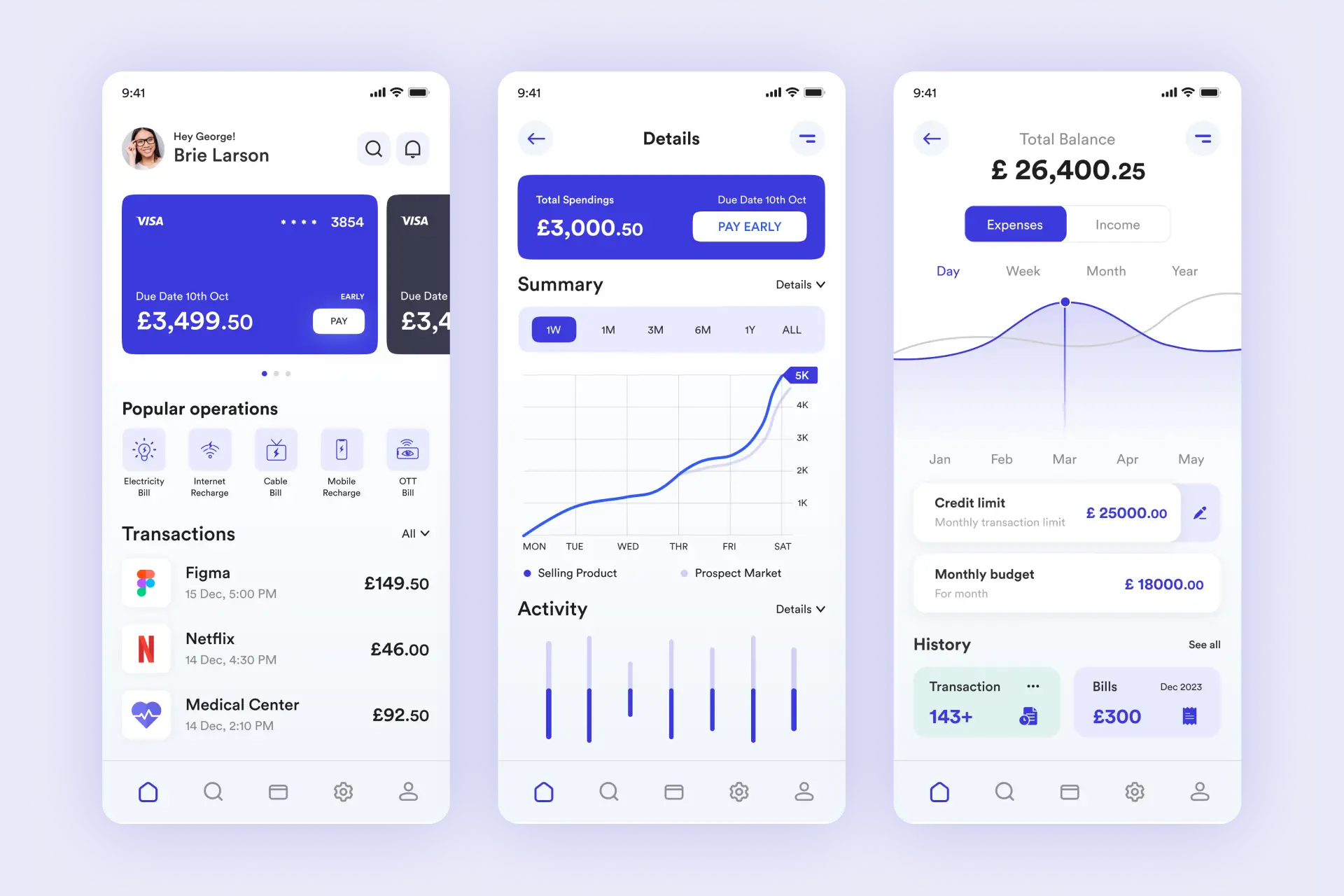 User Panel – Seamless & Secure Financial Experience