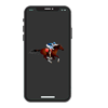 Horse Race Live Line API